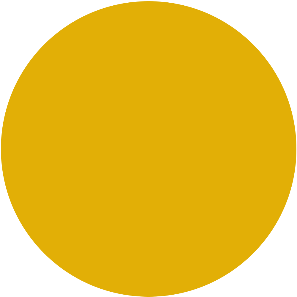 RAL 1004