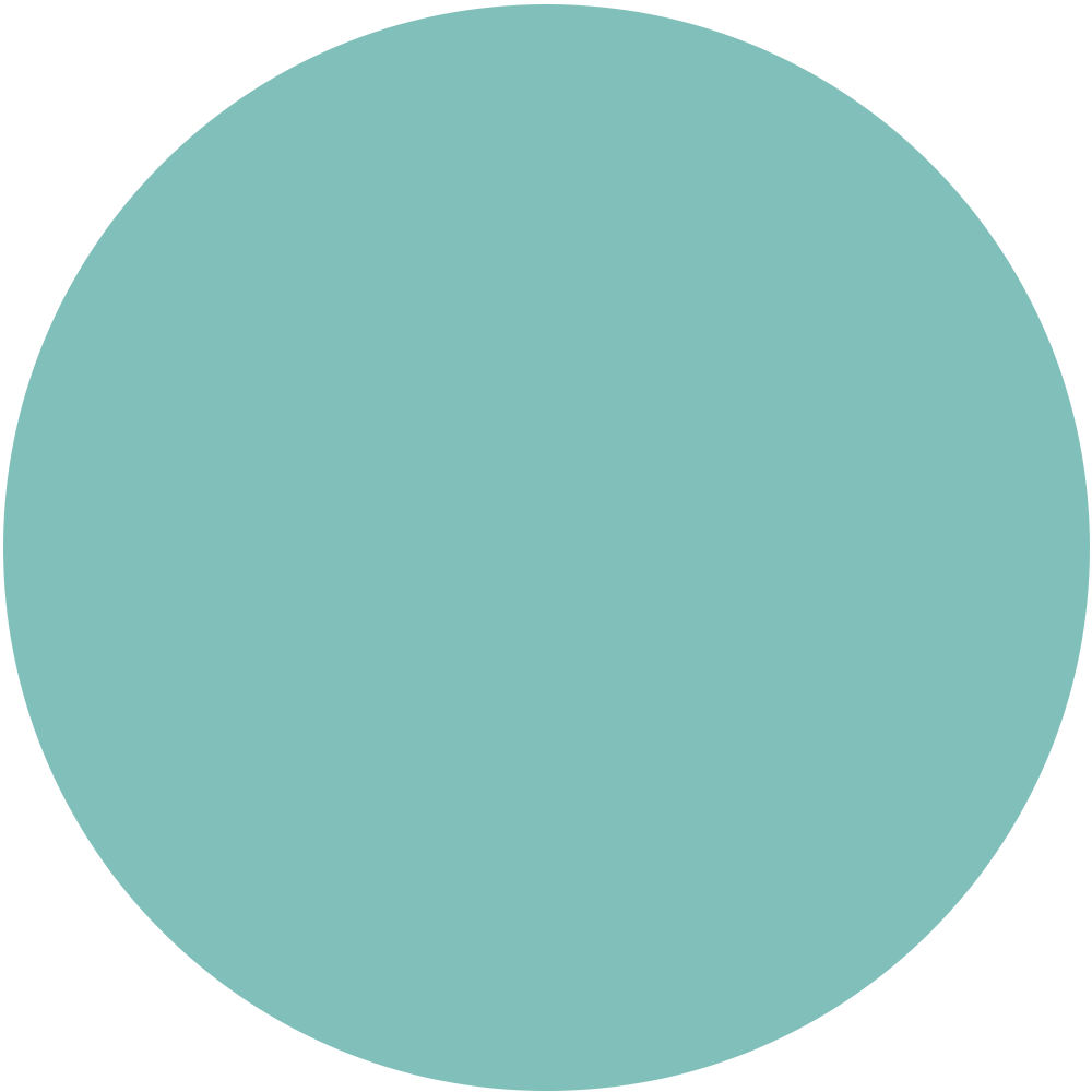 RAL 6027