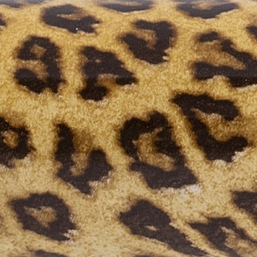 Animal Print