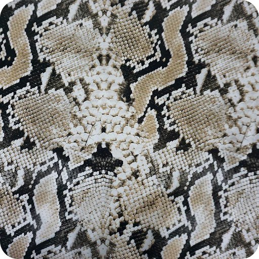 Serpiente